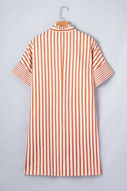 Brown Stripe Pinched V Neck Turn-up Cuffs Shift Mini Dress